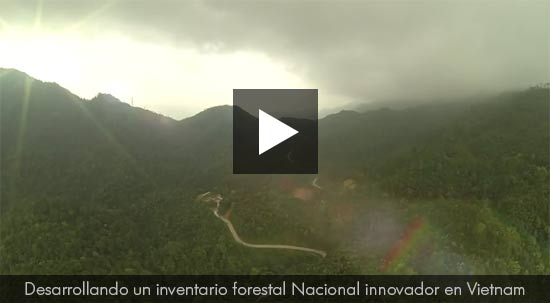 Desarrollo de un inventario forestal Nacional innovador en Vietnam